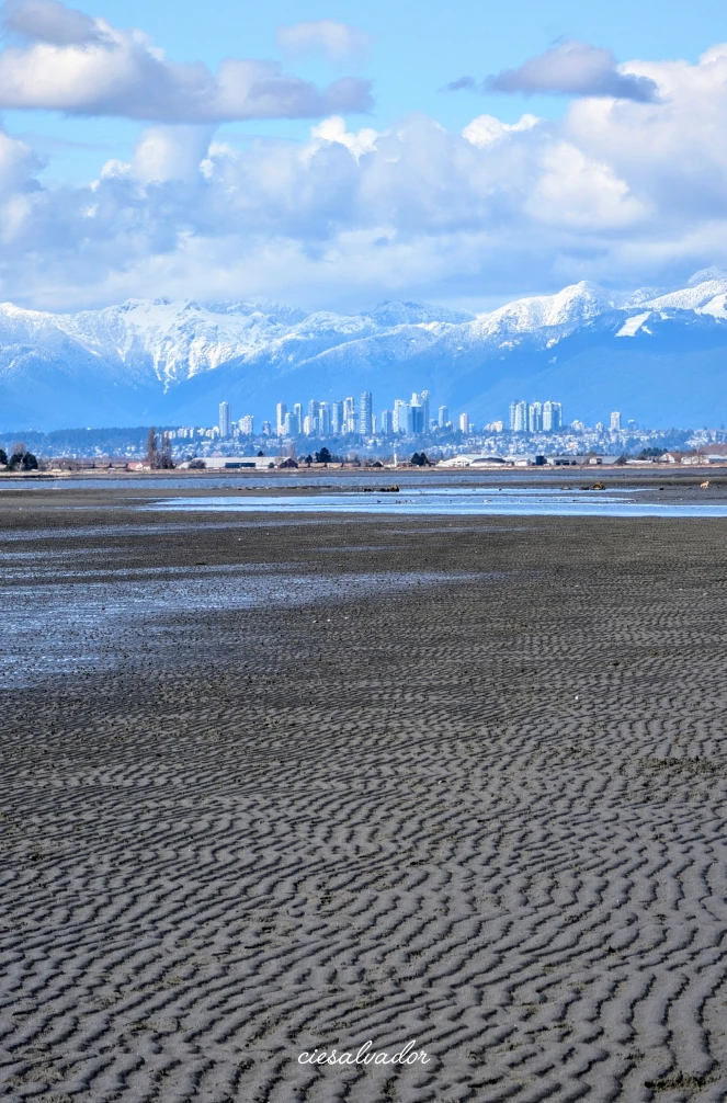 ESL homestay students in front of a Canadian flag